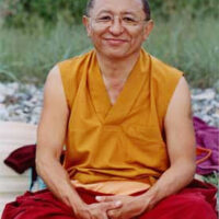 Chokyi Nyima Rinpoche — photo via Wikipedia